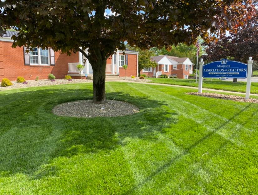 Fresh mowing stripes across a commercial lawn