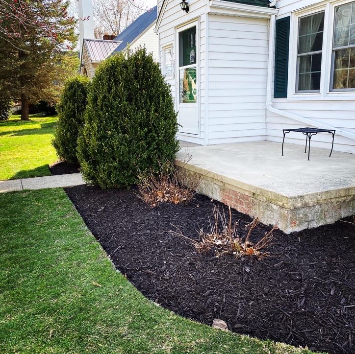 Fresh black mulch and a clean landscape bed around a home