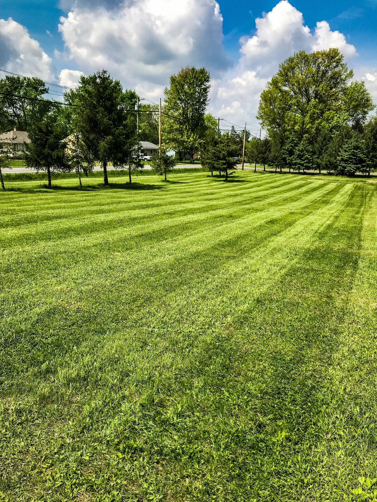 Large freshly striped lawn after Lawn Care Masters mowing service